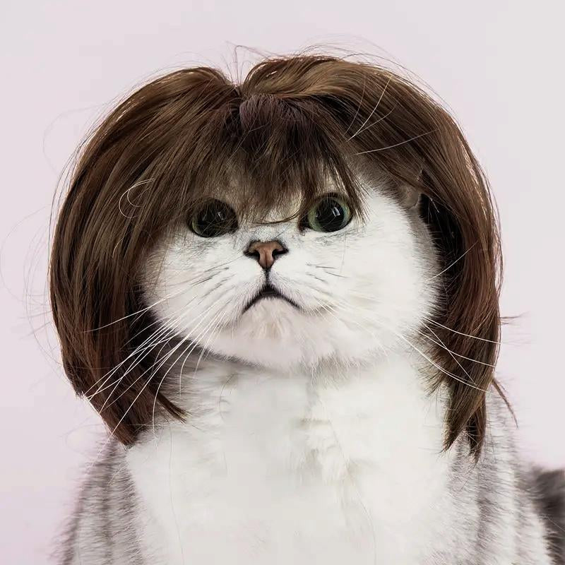 Cute Short Hair Wig Pet Headband, Funny Puppy Wig Hair Accessories for Dogs & Cats, Valentine'S Day Gift, Halloween