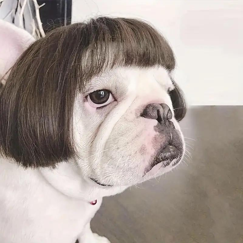 Cute Short Hair Wig Pet Headband, Funny Puppy Wig Hair Accessories for Dogs & Cats, Valentine'S Day Gift, Halloween
