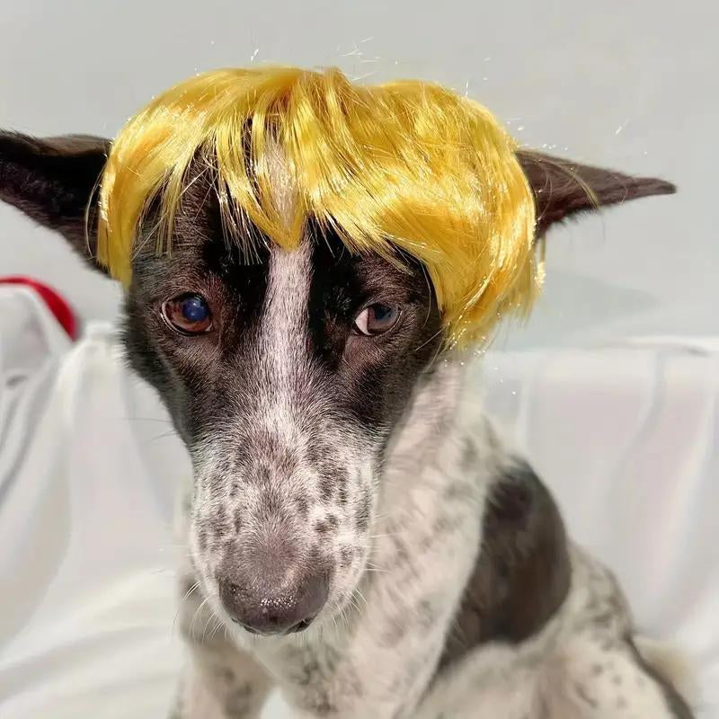 Cute Short Hair Wig Pet Headband, Funny Puppy Wig Hair Accessories for Dogs & Cats, Valentine'S Day Gift, Halloween
